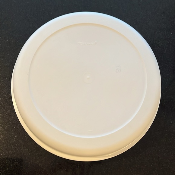 Vintage Tupperware Dusty Blue Divided Veggie / Fruit / Dip Snack Party Tray - Picture 13 of 14